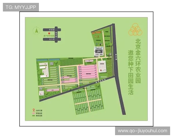 从足球竞技到尿素科学探秘绿色动力助力运动与农业融合发展 从足球竞技到尿素科学探秘绿色动力助力运动与农业融合发展
